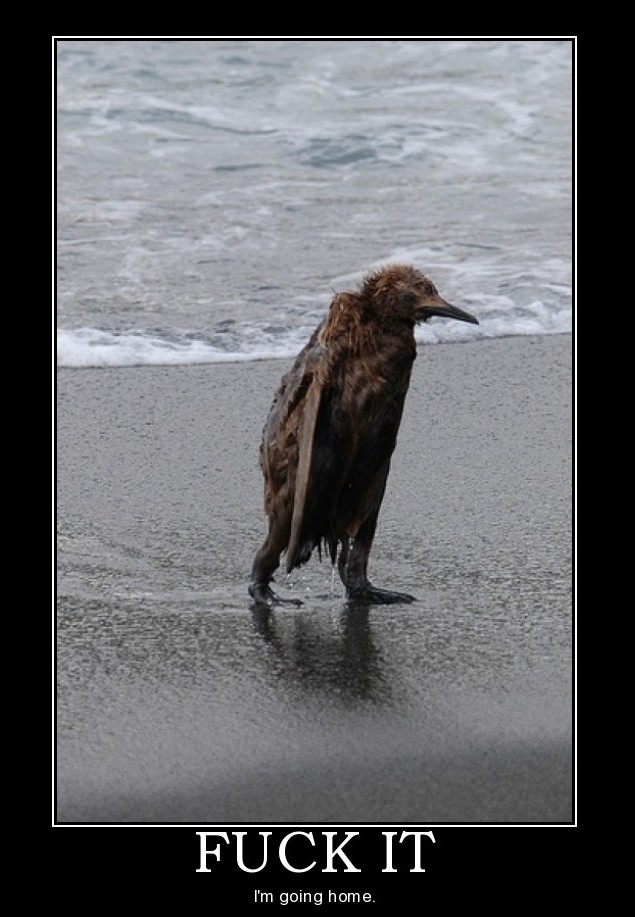 [Image: MGalleryItem.php?id=1983]